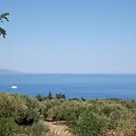 Infinity View *