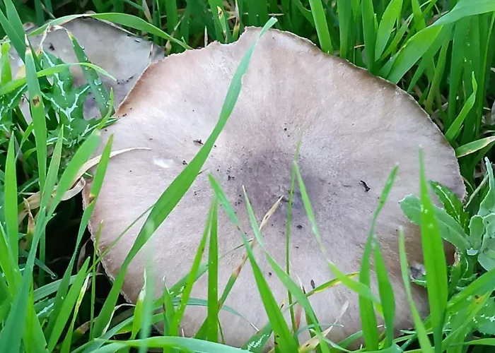 Infinity View * Korithion