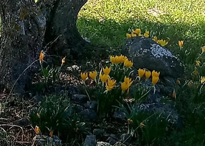 Infinity View * Korithion