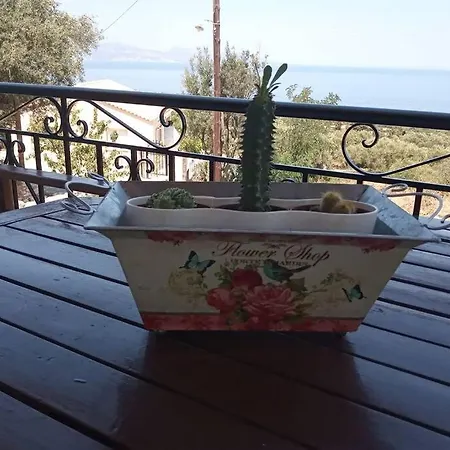 Infinity View *